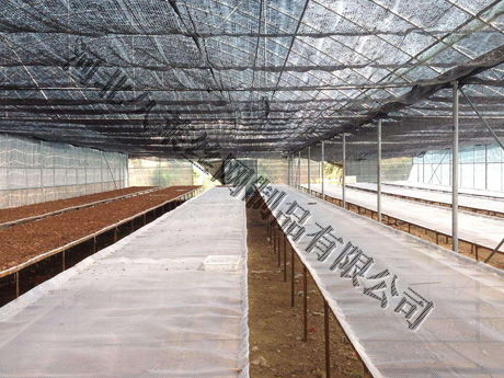 苗床塑料网，也是塑料平网的一种，主要是用于花卉种植园培育花种用的育苗网床，底部有角铁焊接为支架，上边根据支架框宽度进行裁剪，并固定。材质：以HPDE（聚乙烯），PP（聚丙烯）编织：由热喷、冷固等加工而